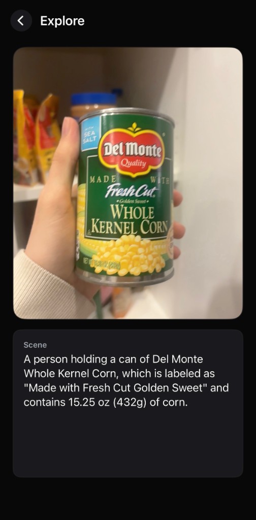 Explore mode—live scene capture with AI description